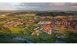 TABARA FLORESTI/GILAU